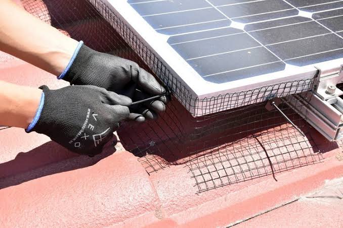Bird netting clipped neatly around the edge of a solar panel array