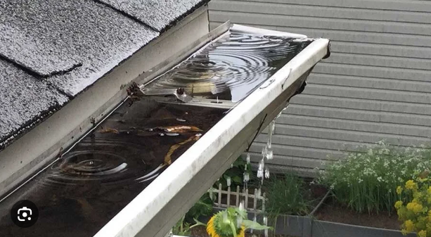 Clogged gutter full of standing water and rotting leaf debris