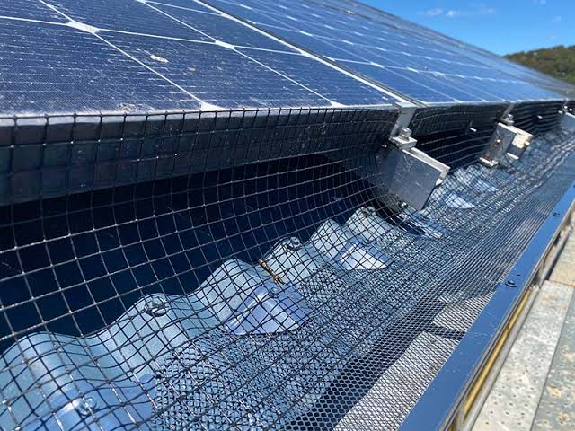 Bird Netting Installation in Novato by Perfect Pane