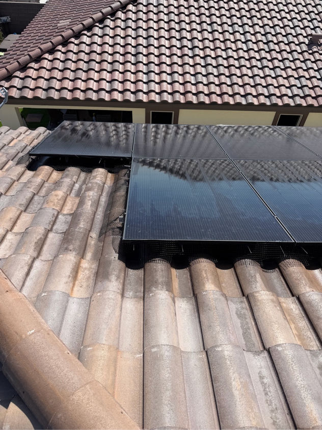 Antioch solar panels sealed with clean bird netting, birds locked out for good