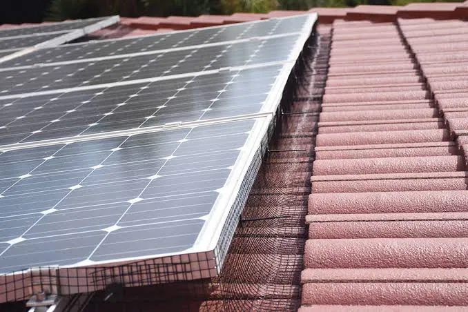Bird guard mesh installed along a solar panel array on a Vallejo tile roof