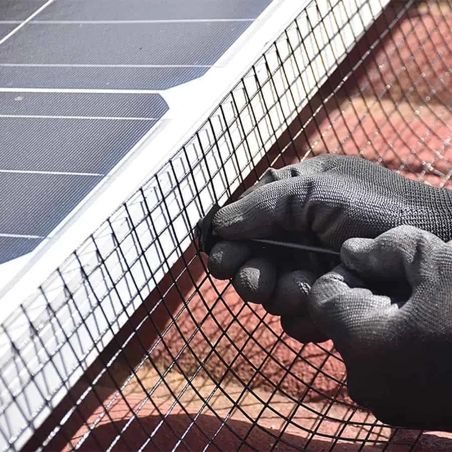Perfect Pane installing solar panel bird netting along the edge of an array in Vallejo